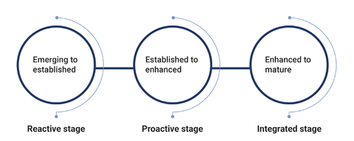 Digital maturity levels diagram