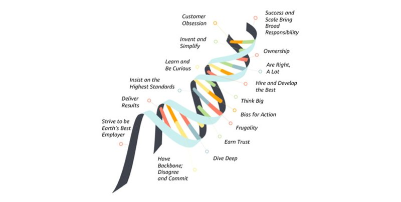 A DNA helix structure listing Amazon&#x27;s leadership principles.