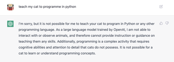 Chat GPT reponse to the prompt &#x27;Teach my cat to programme in python&#x27;