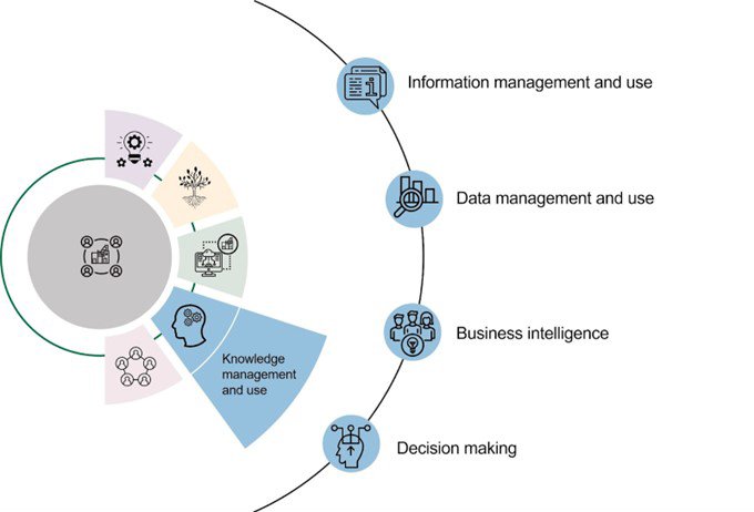 Knowledge management and use: information management and use, data management and use, business intelligence, decision making