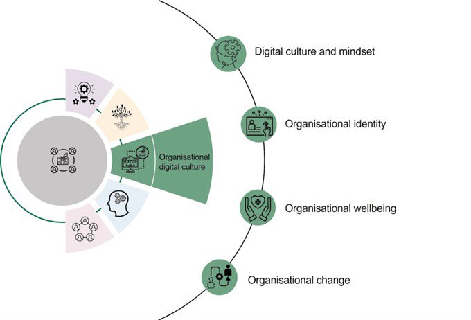 Organisational digital culture: digital culture and mindset, organisational identity, organisational wellbeing, organisational change